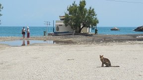 Naxos beach