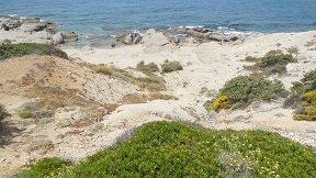 Alyko beach