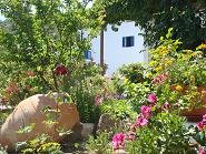 Mammis Apartments in Pali, Nisyros Greece, Griekenland