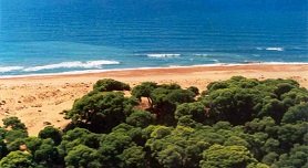 Olympia Peloponnese Greece, Peloponnesos Griekenland