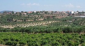 Peloponnese Greece, Peloponnesos Griekenland