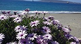 Hotel Arsenakos in Neapolis, Peloponnese, Peloponnesos