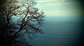 Pilion, Pelion, Greece, Griekenland