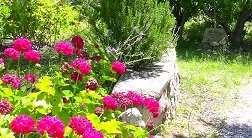 Potistika, Pilion, Pelion, Greece, Griekenland