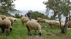 Milopotamos, Pilion, Pelion, Greece, Griekenland