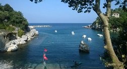Damouchari, Pilion, Pelion, Greece, Griekenland