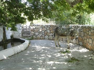 Donoussa