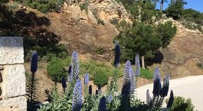 Rhodos Kamiros Skala