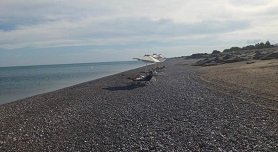 Gennadi beach Rhodos