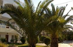 Roseberry Studios in Faliraki, Rhodos