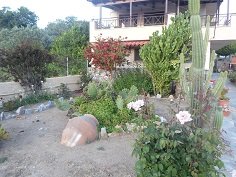 Nektaria Samos - Posidonia beach, Samos