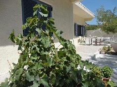 House On The Wave - Marathokampos, Samos