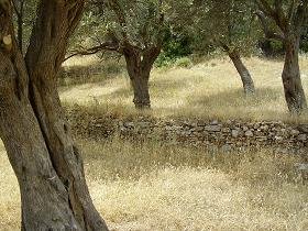 Samos, Agia Kyriaki