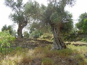 Samos, Agia Kyriaki