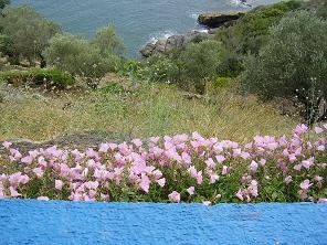 Samos, The End of the World