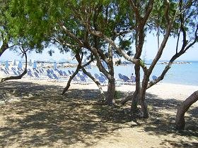 Samos, Karlovassi