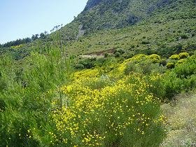 Samos, Kosmadei