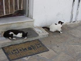 Samos, Kosmadei