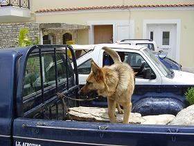 Samos, Mili, Myli