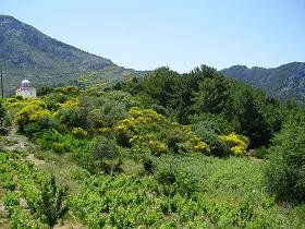 Samos, Nikoloudes