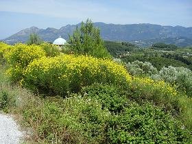 Samos, Nikoloudes