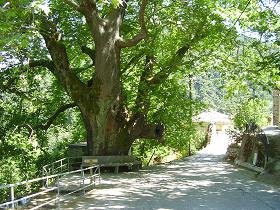 Samos, Nikoloudes