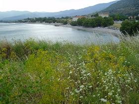 Samos, Potokaki Beach bij Pythagorion