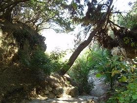 Samos, Psili Amos Beach near Limnionas