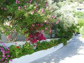 Samos, Psili Amos Beach near Limnionas