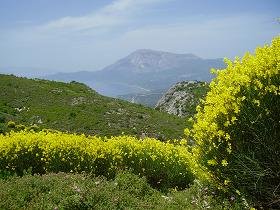 Samos, Spatharei