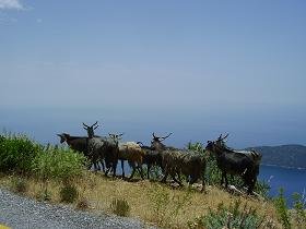 Samos, Spatharei