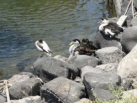 Vlyhada Beach, Santorini