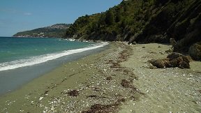 Skopelos, Armenopetra beach