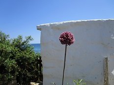 Aspous beach, Skyros