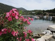 Pefkos beach, Skyros