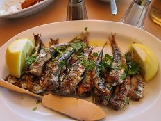 Magari, Linaria, Skyros