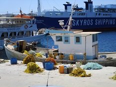 Linaria, Skyros