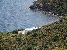 Linaria, Skyros