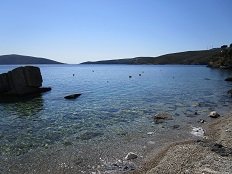 Linaria, Skyros