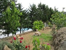 Nefeli Hotel, Skyros