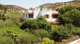 Caviri, Galissas Beach, Syros